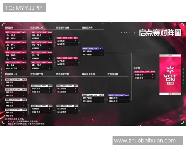 BLG在大师赛中的战术表现分析与启示探讨