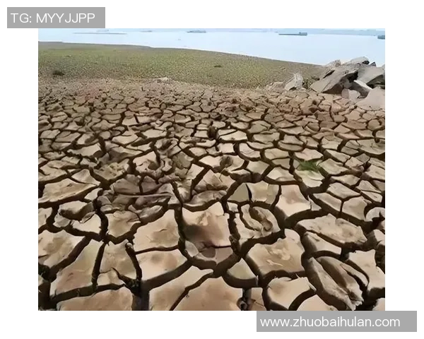 全球气候变化加剧 极端天气频发对各国经济造成严重冲击